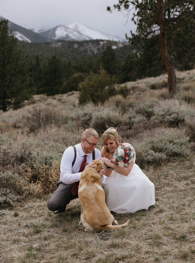 Signing a Colorado Marriage license with a dog paw print