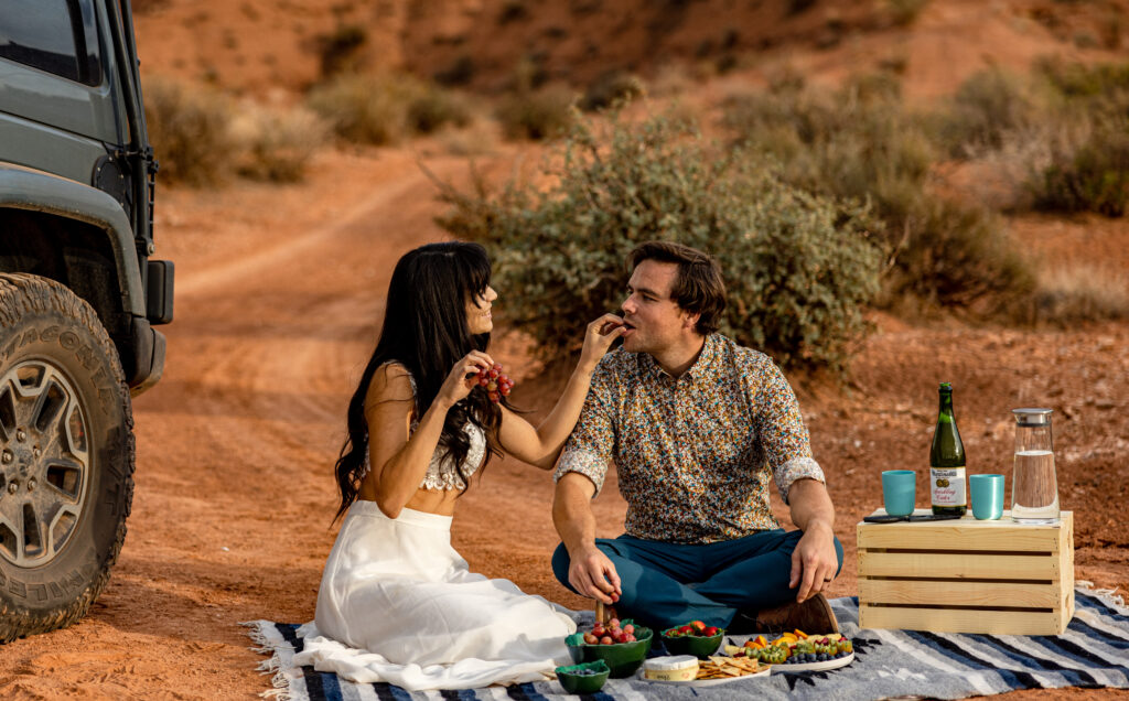 A picnic elopement in Colorado