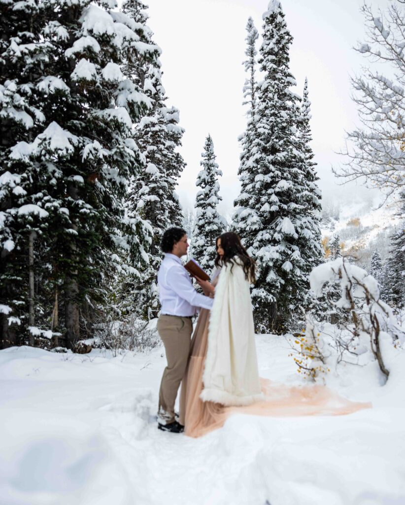 Bride’s dress flowing in the wind with a snowy backdrop